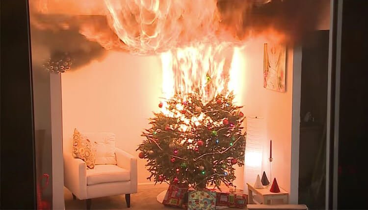 Christmas tree on fire in living room