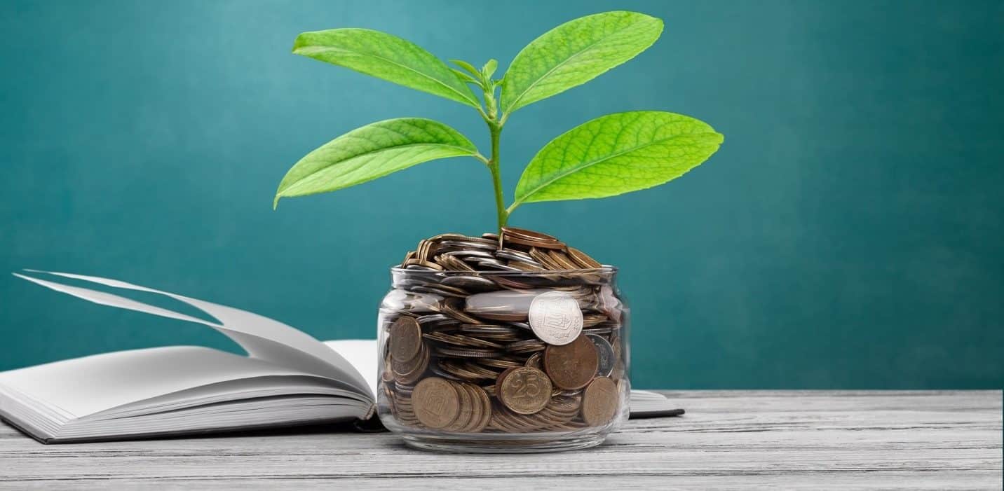 Coins with plant and book