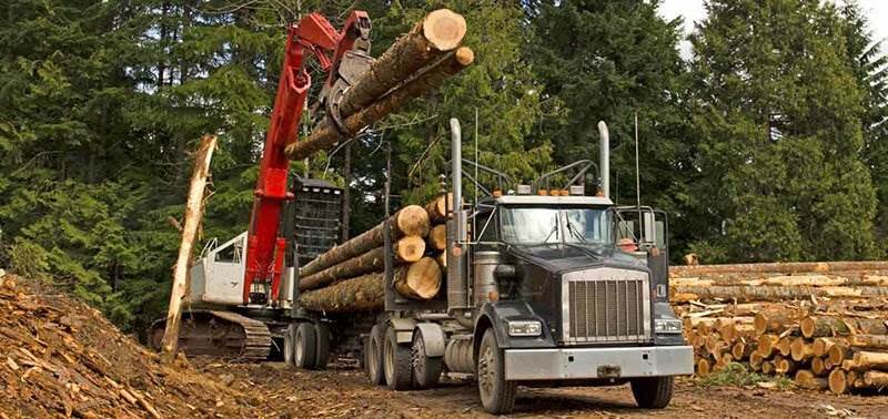 Logging truck - logging accident in CA