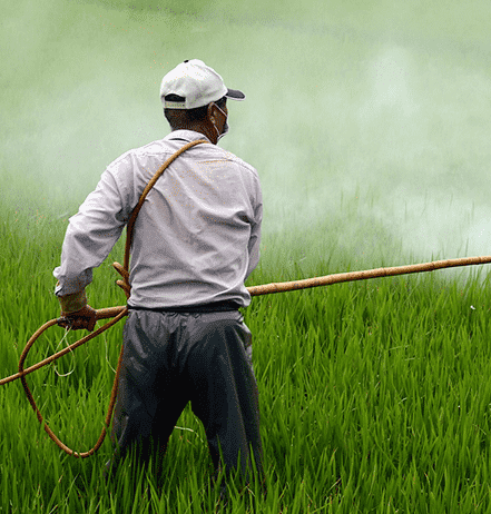 What Pesticides are Linked to Parkinson’s Disease?