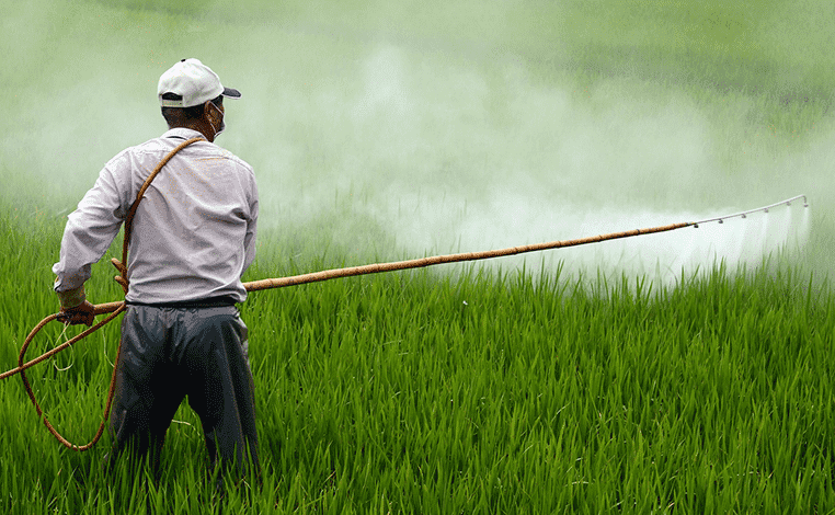 Man spraying pesticide
