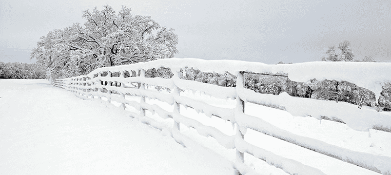 Fence Covered in Snow | Texas Covered in Snow Results in Power Outages
