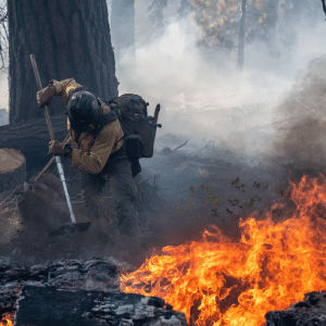 Experts: Overgrowth, Lack Of Prescribed Burns Led To Dixie Fire’s Size