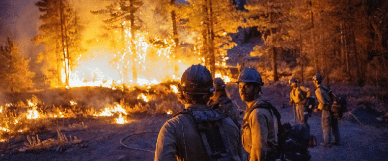 Experts: Overgrowth, Lack Of Prescribed Burns Led To Dixie Fire’s Size