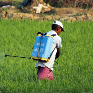 worker in field with pesticide in the midst of paraquat claim