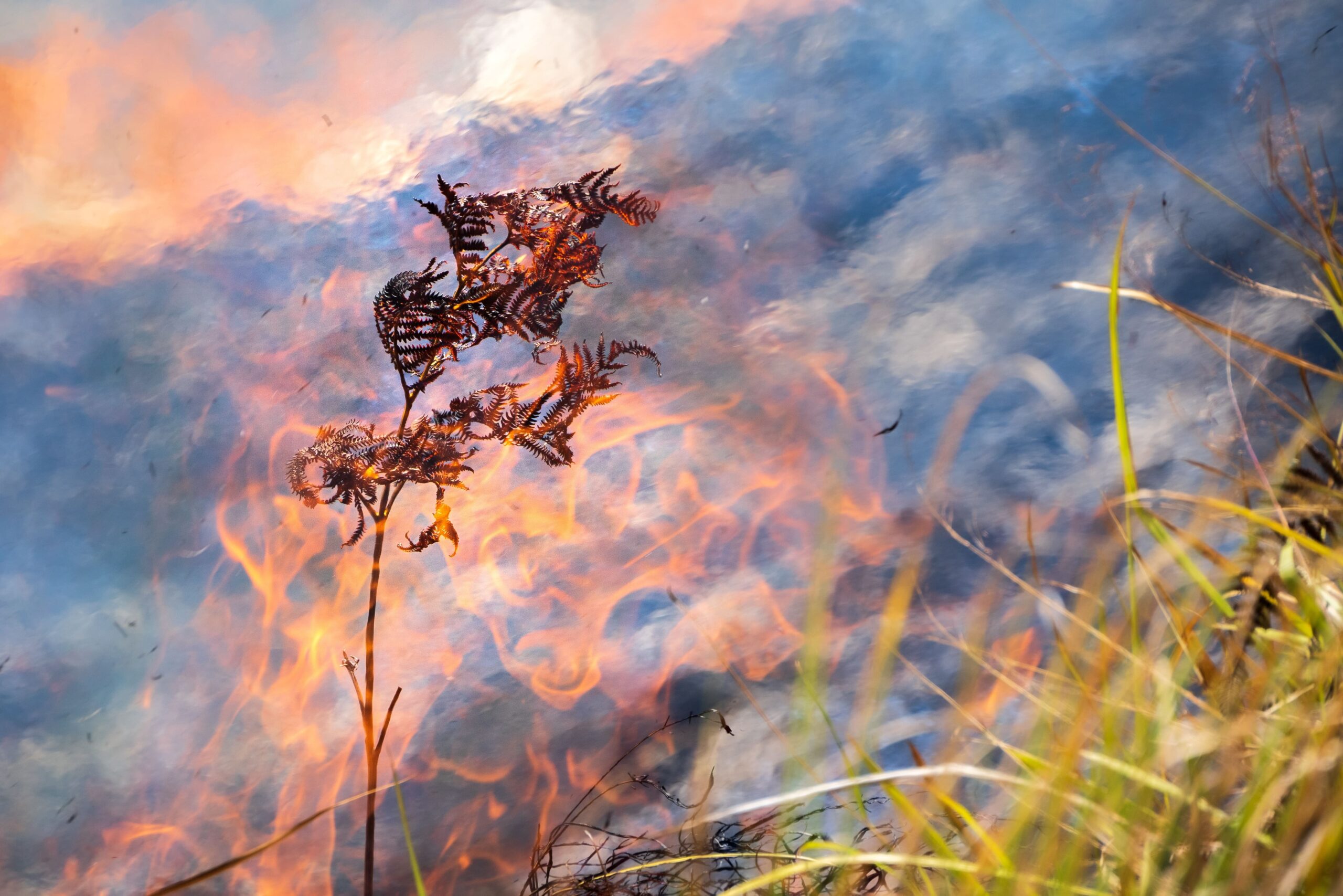 Southern California Edison To Pay 550 Million In Wildfire Fines