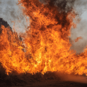 PG&E Avoids Criminal Charges For Dixie Fire, Kincade Fire
