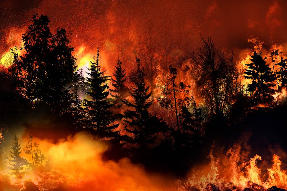 Who is Responsible for The Dixie Fire?