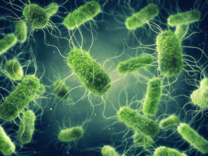 What Is Salmonella Food Poisoning?