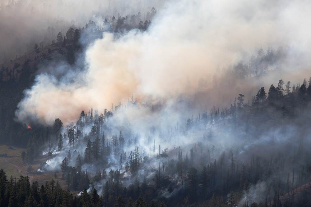 	Can Renters Get Compensation For The Dixie Fire?