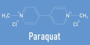 What Did the Manufacturers of Paraquat Know