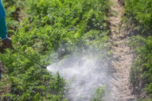 A farmer spraing pesticides on their crops.
