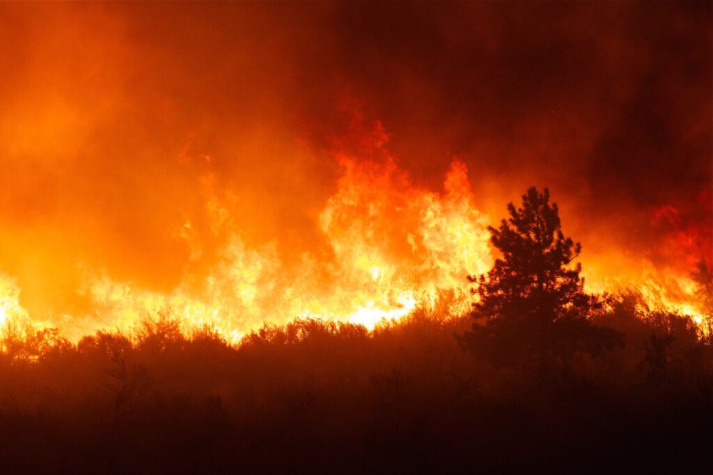 Liability in California Wildfire Lawsuits