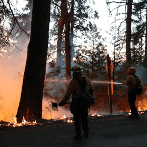 PG&E’s Expedited Payments Program Won’t Offer Mosquito Fire Victims What They Deserve