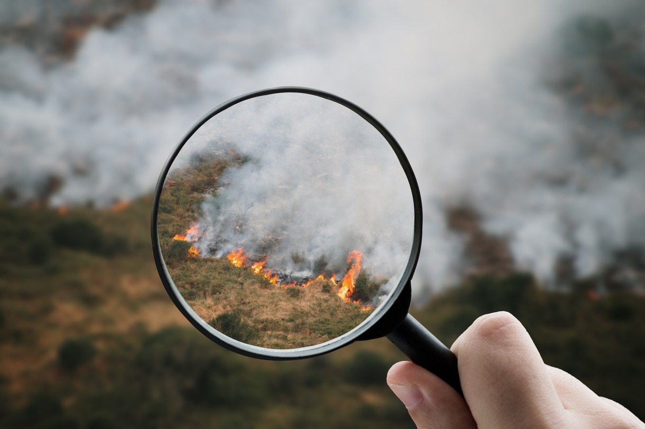 Magnifying glass focusing on a wildfire - assessing costs and damages.