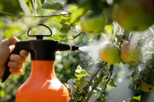 Pesticides being sprayed on plants from an orange bottle.