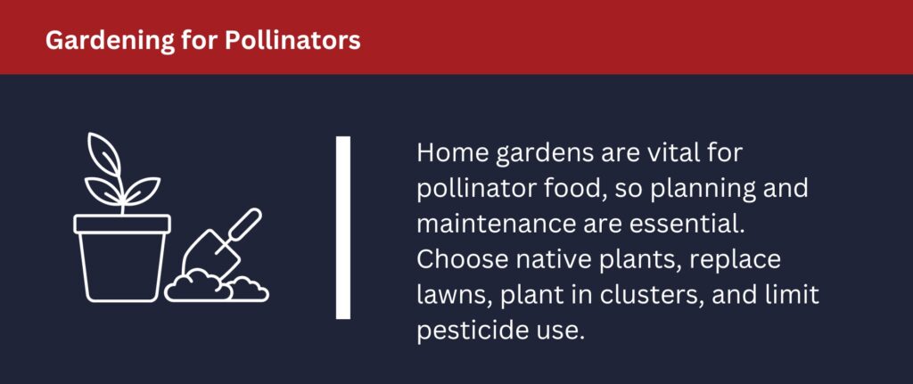 Home gardens are vital for feeding pollinators.