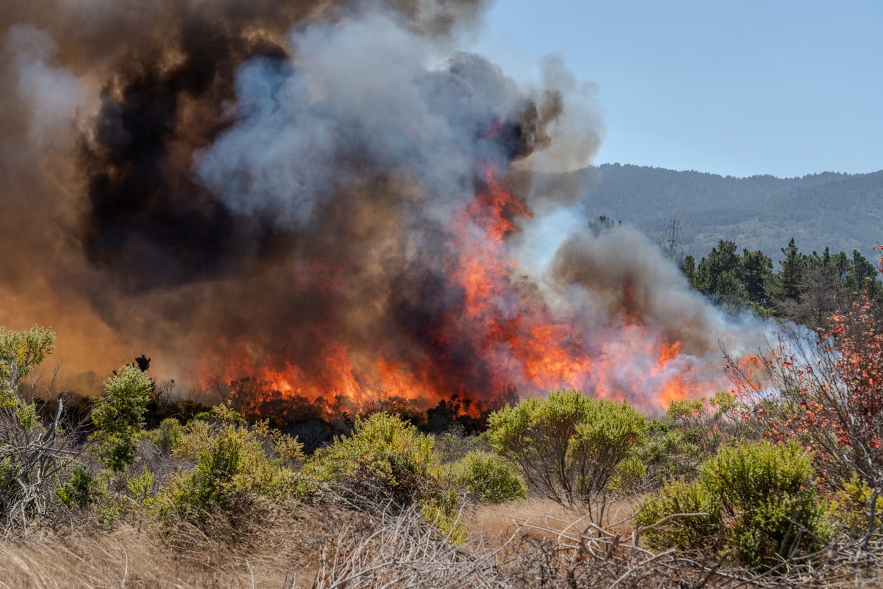 Researchers Describe ‘Climate Trauma’ To Camp Fire Victims