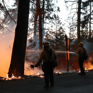 Lawsuit Claims PG&E Responsible For Mosquito Fire