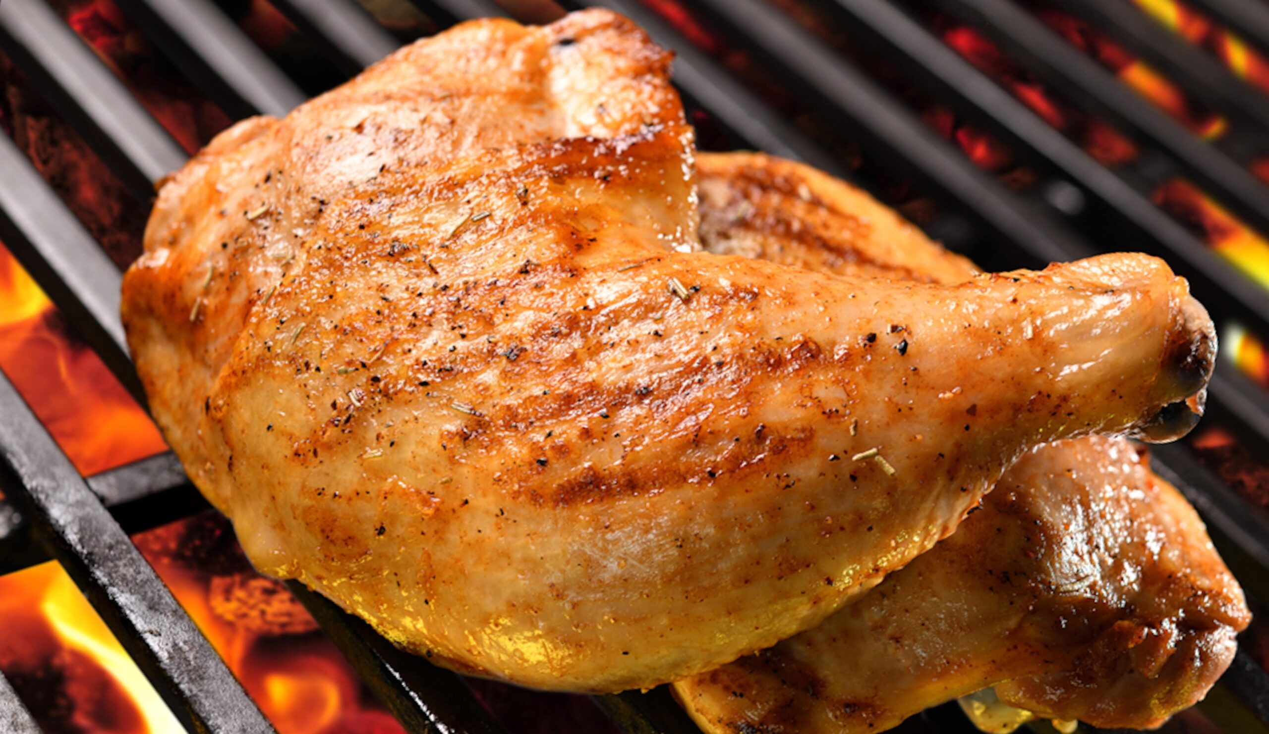 A glistening piece of seasoned chicked being barbecued.