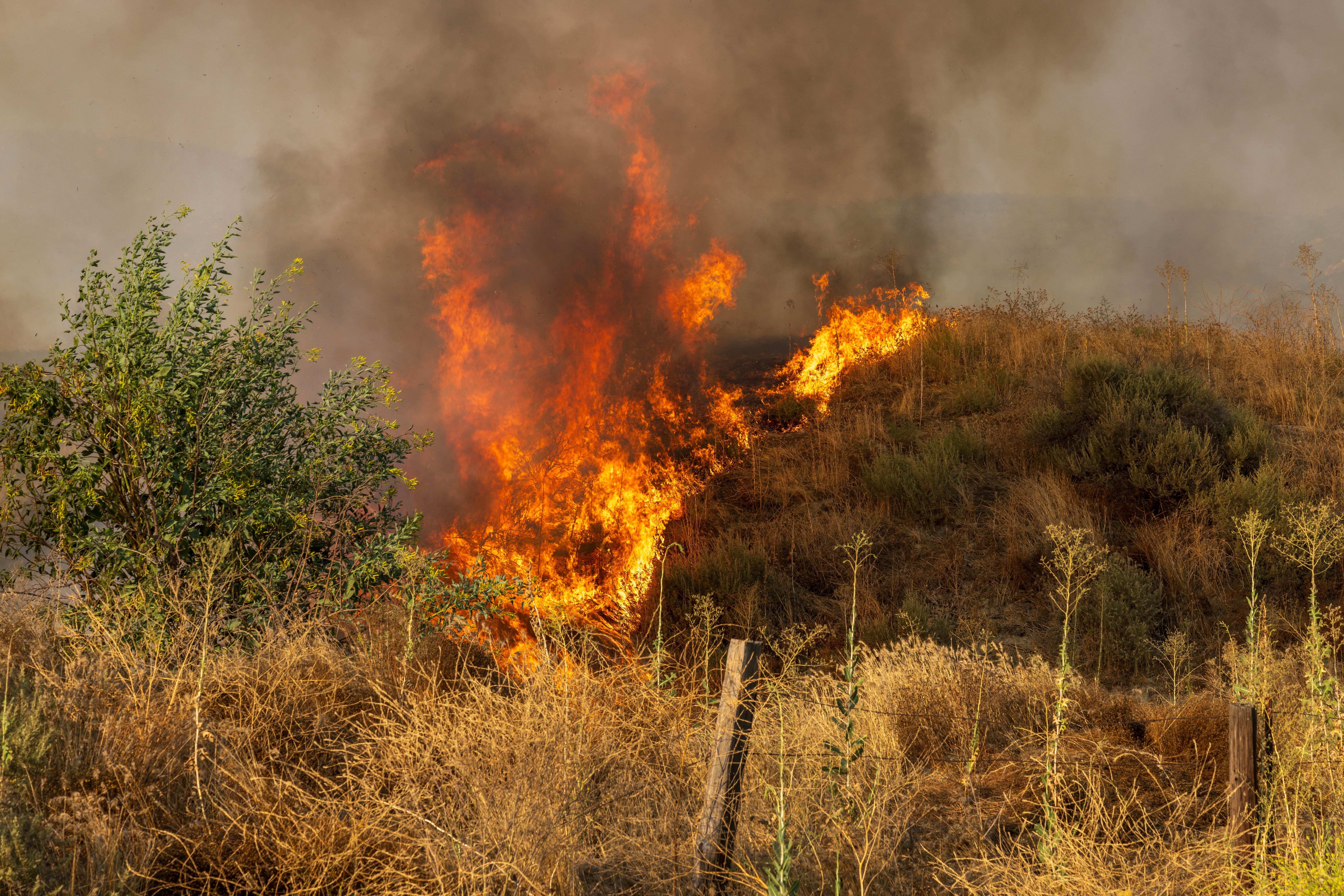 The Impact of Wildfire Modeling on the Availability and Affordability of Wildfire Insurance
