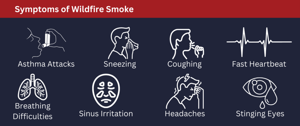 Symptoms of wildfire smoke include asthma attacks, sneezing coughing fast heartbeat and more.