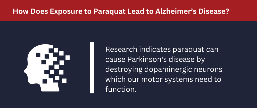 How Does Exposure to Paraquat Lead to Alzheimer’s Disease: Research indicates paraquat can cause Parkinson's disease by destroying dopaminergic neurons which our motor systems need to function.