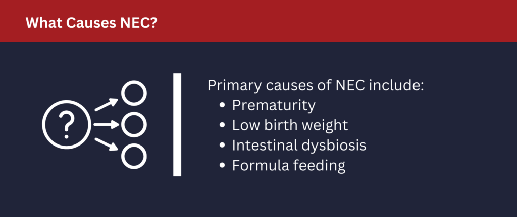 Primary causes of NEC include: prematurity, low birth weight, intestinal dysbiosis and formula feeding.