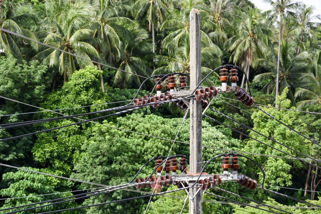 Photo of an electric power line in from of a hawaiian forest.