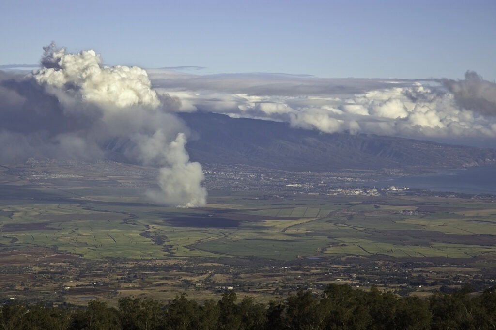 An overhead view of plumes of smoke from the maui fires.
