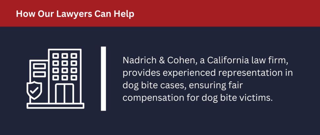 How Our Lawyers Can Help: Nadrich and Coohen provides experienced representation in dog bite cases.