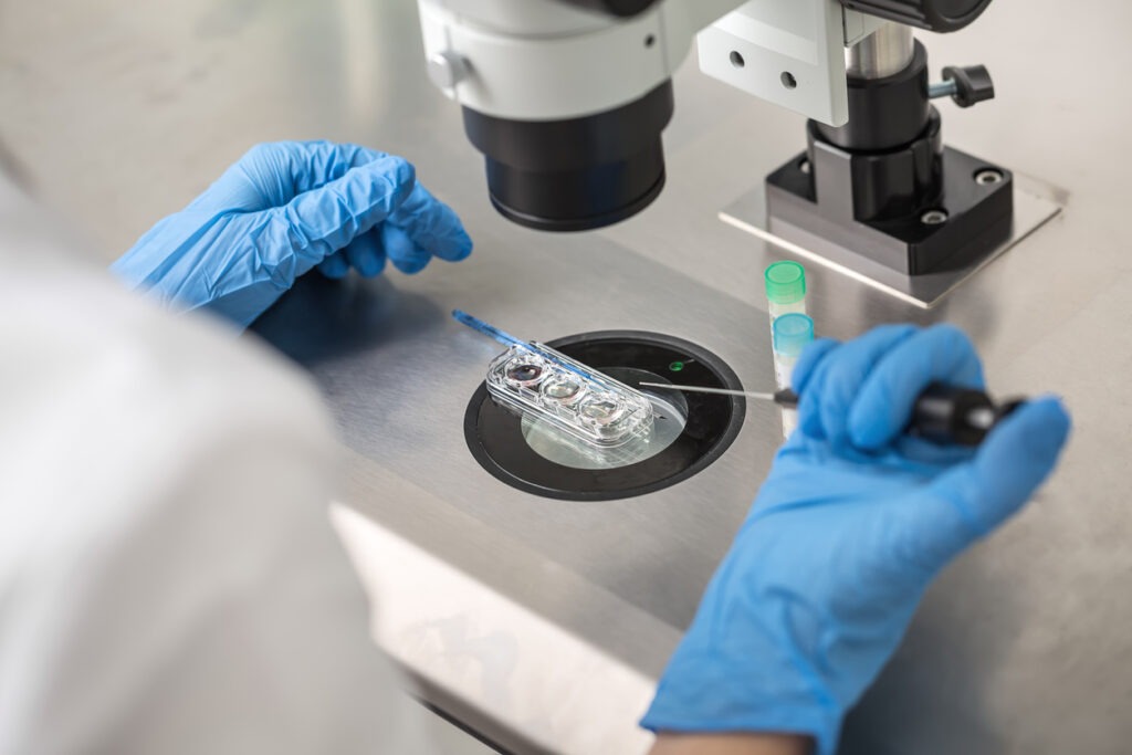 Technician in blue gloves checks on the in vitro fertilization process using a microscope.
