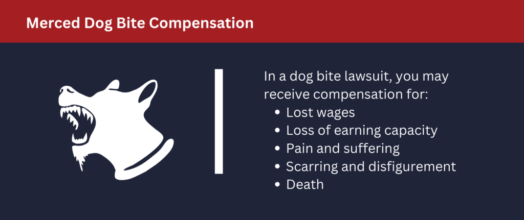 You can be compensated for many things in a dog bite lawsuit.
