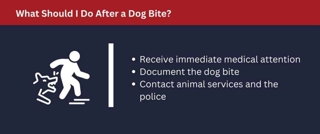You should take numerous steps after a dog bite.