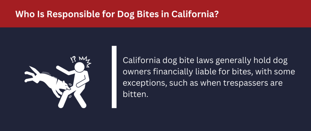 California dog bite laws generally hold dog owners financially liable for bites.