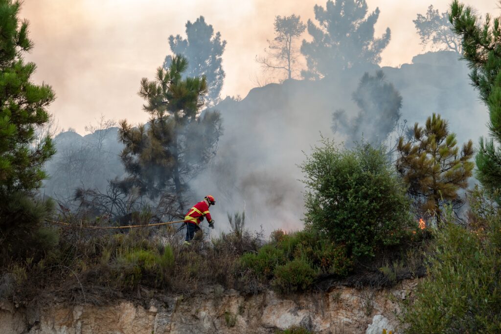 Firefighters extinguishing a smokey forest fire in the evening.