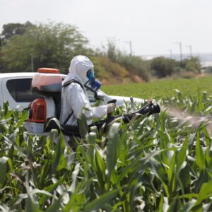 Farmer spraying field with paraquat