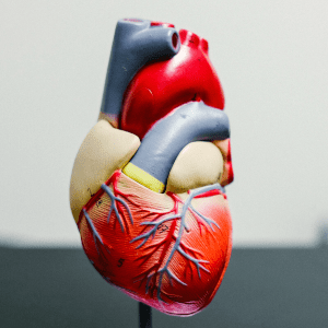 Abiomed Impella Heart Pump Lawsuit Lawyer