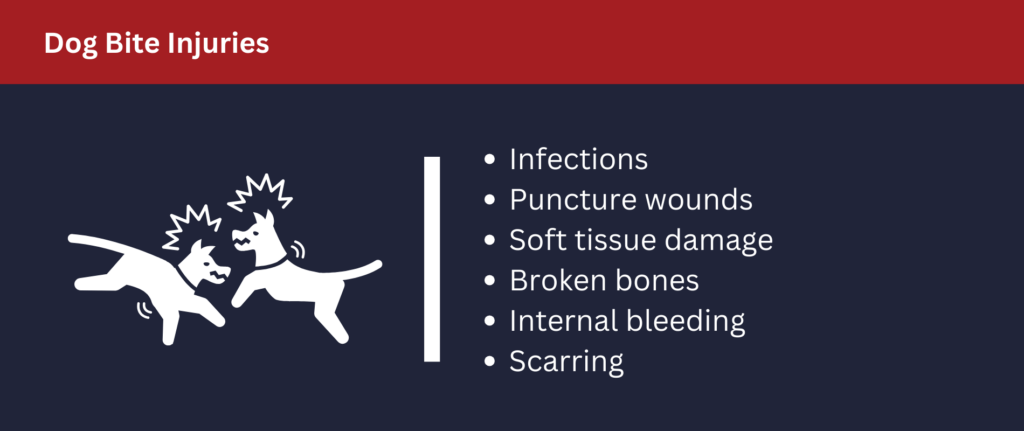 Many injuries can result from dog bites.