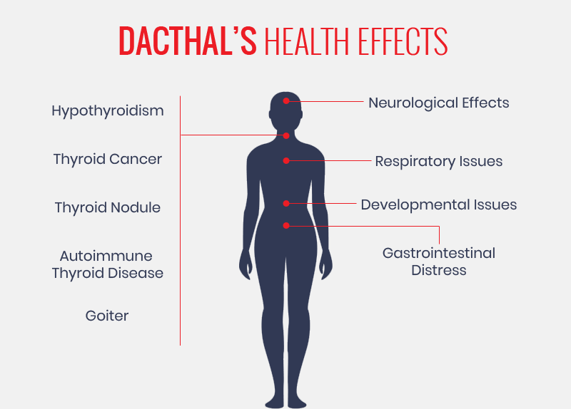 Dacthal has been linked to health conditions such as hypothyroidism, thyroid cancer, gastrointestinal distress and more.