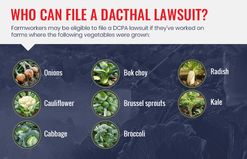 Farmworkers can file a dacthal lawsuit if they've worked on farms that grow the following vegetables.