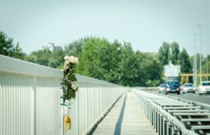 White rose on the side of an overpass on a sunny day, signifying a recently diseased driver.