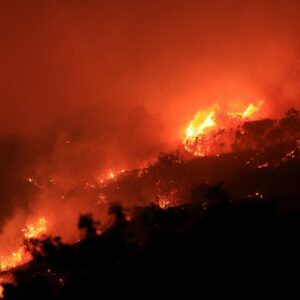 A forest fire blazing across the Los Angeles hills.